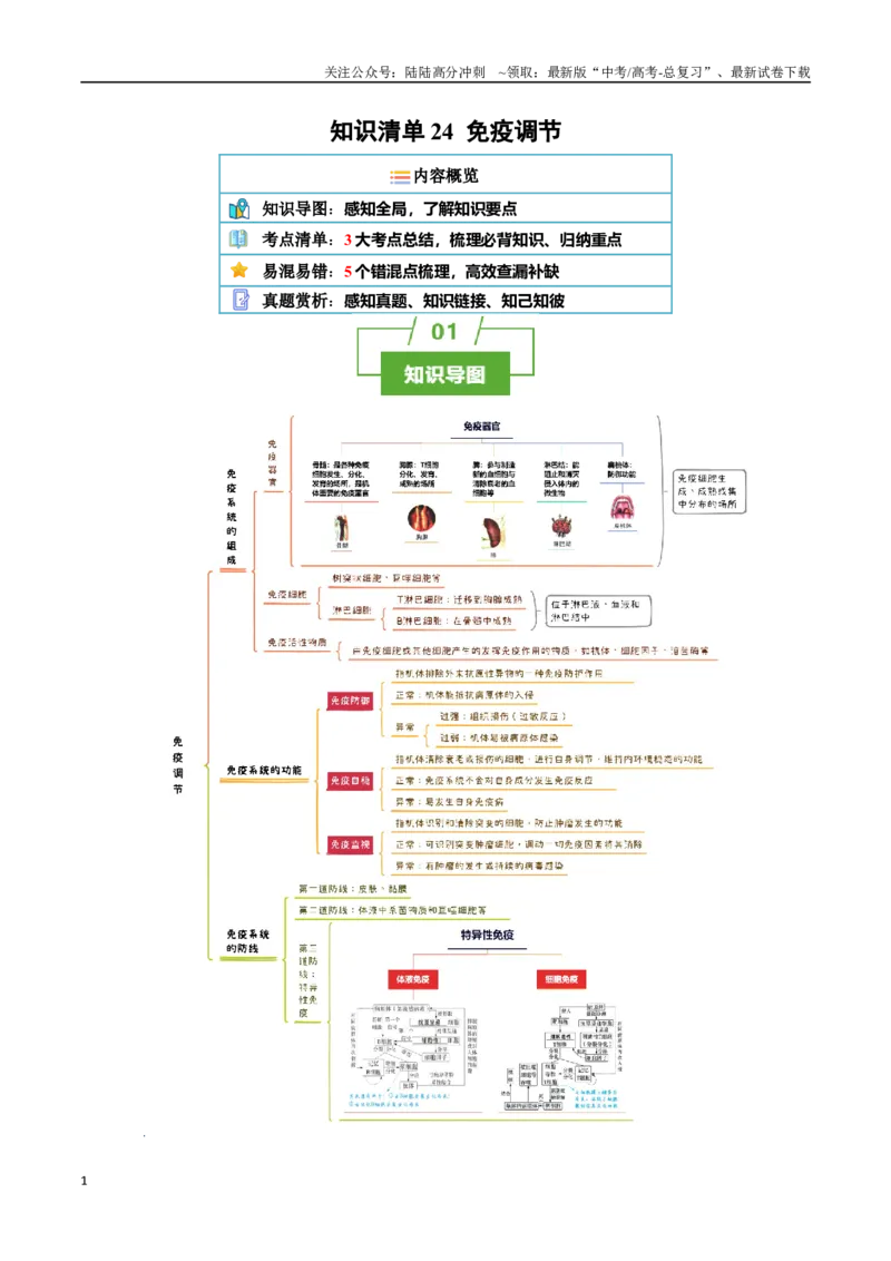 《知识清单24免疫调节（3大考点+5个易错点）_06-生物-高考总复习_一轮复习_2025年_2025年高考生物一轮复习知识清单（全国通用）》第1页预览