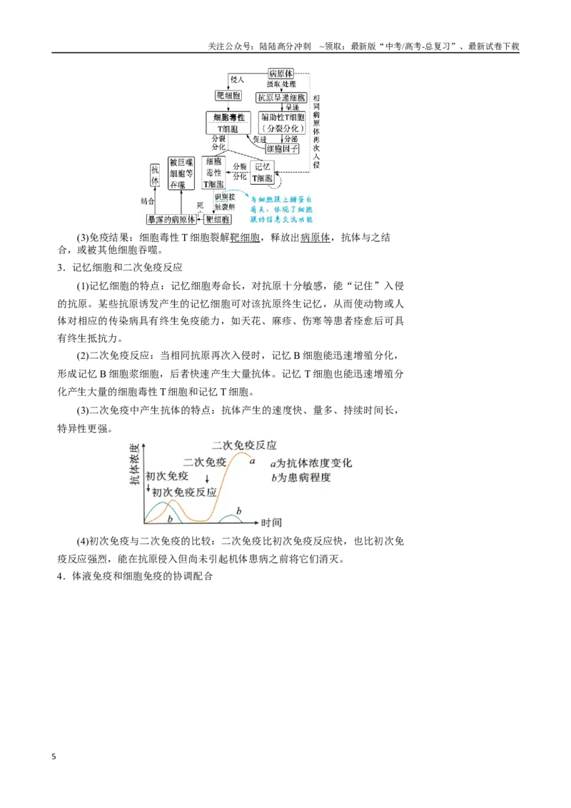 《知识清单24免疫调节（3大考点+5个易错点）_06-生物-高考总复习_一轮复习_2025年_2025年高考生物一轮复习知识清单（全国通用）》第5页预览