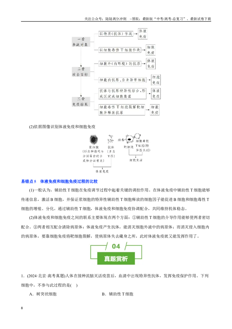 《知识清单24免疫调节（3大考点+5个易错点）_06-生物-高考总复习_一轮复习_2025年_2025年高考生物一轮复习知识清单（全国通用）》第8页预览
