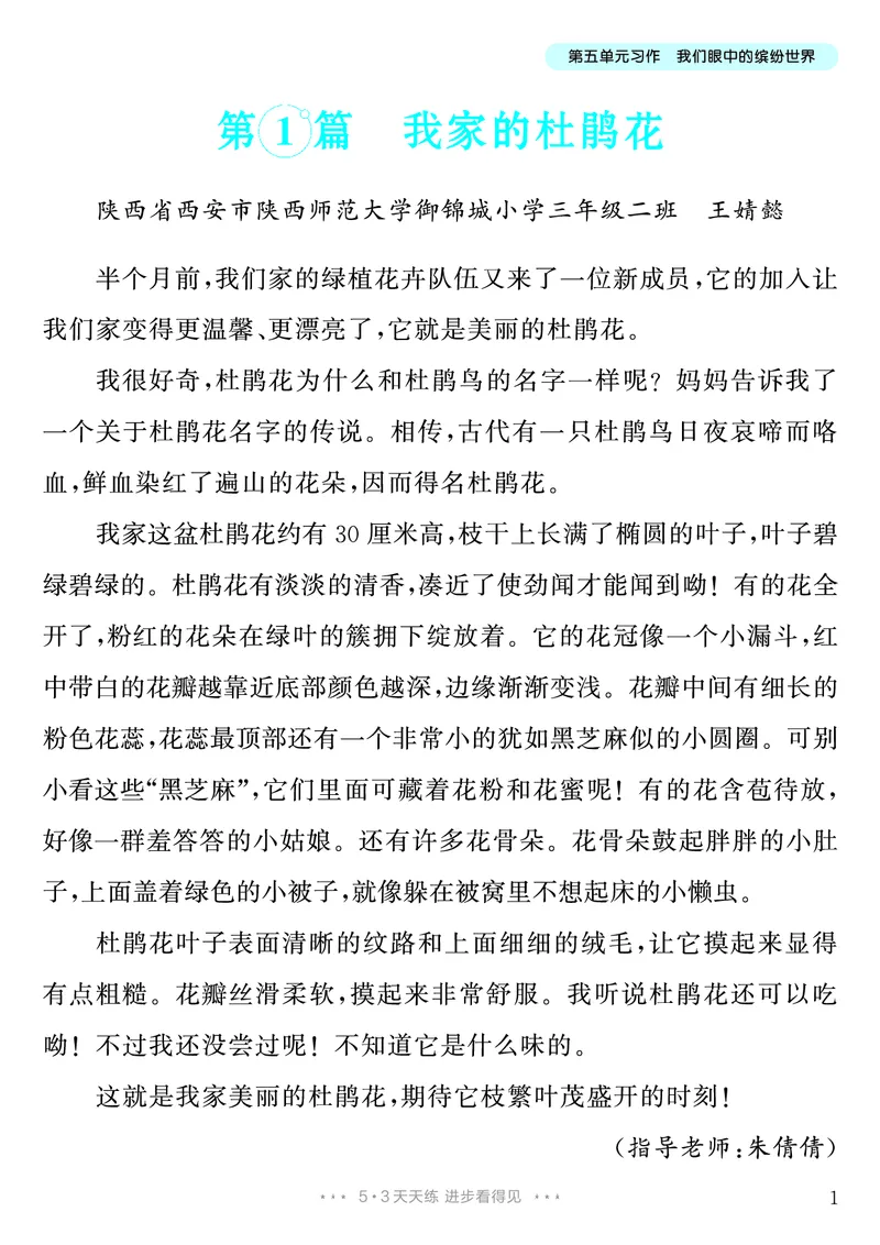 《第5单元习作：我们眼中的缤纷世界_26秋小学初中各机构教辅大合集（一本、教材帮、阳光同学、王朝霞、实验班、小典中点、上分卷、白欧、课堂笔记等等）_26秋小学教辅资料》第2页预览