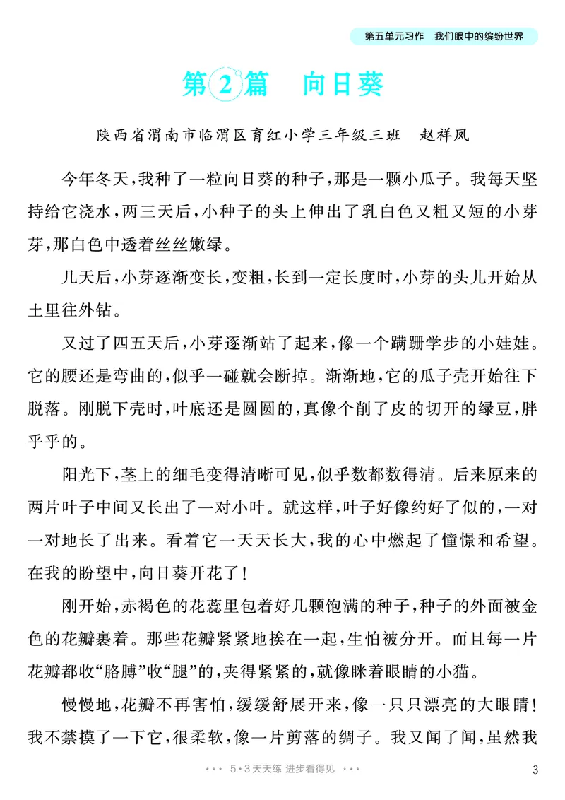 《第5单元习作：我们眼中的缤纷世界_26秋小学初中各机构教辅大合集（一本、教材帮、阳光同学、王朝霞、实验班、小典中点、上分卷、白欧、课堂笔记等等）_26秋小学教辅资料》第4页预览