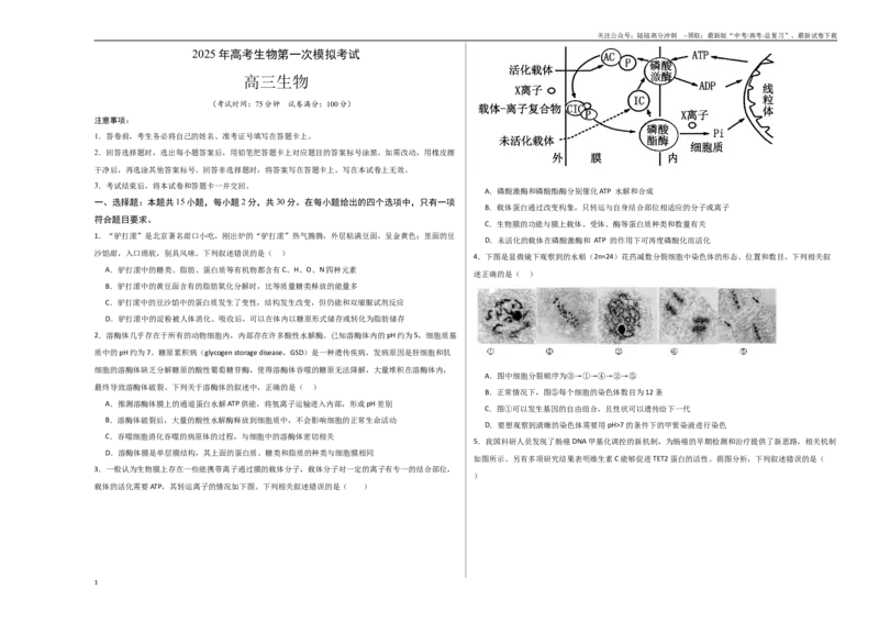 《生物（江苏卷01）（考试版A3）_06-生物-高考总复习_一轮复习_2025年_2025年高考生物第一次模拟卷24套》第1页预览