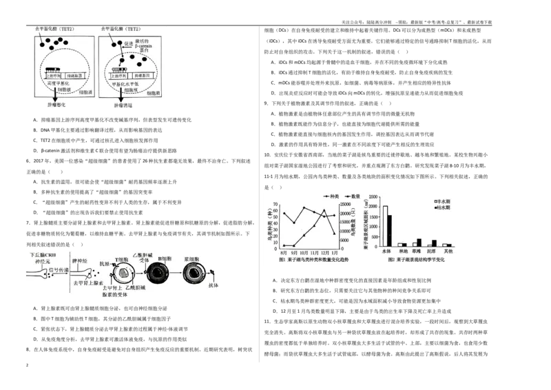 《生物（江苏卷01）（考试版A3）_06-生物-高考总复习_一轮复习_2025年_2025年高考生物第一次模拟卷24套》第2页预览