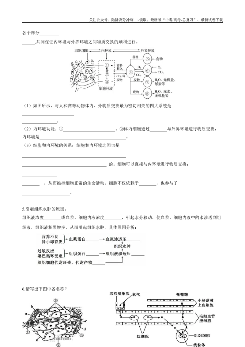 《第1章人体的内环境与稳态（填空版）_06-生物-高考总复习_专项复习_2024年_2024年高考生物必背知识清单（人教版2019）_资料_选择性必修1》第3页预览