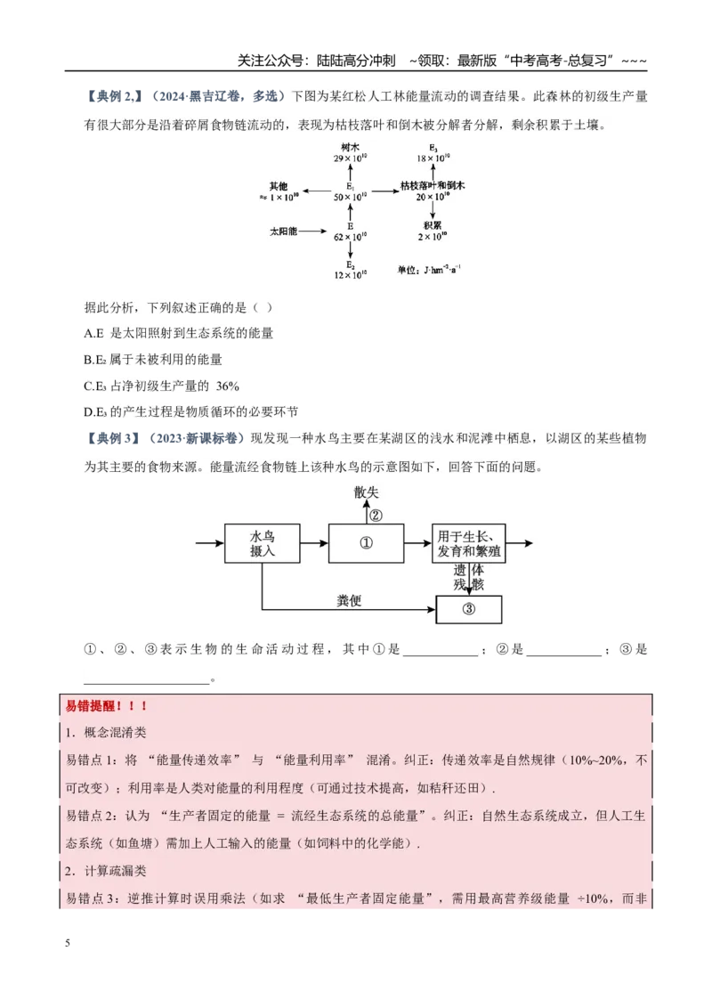 《培优专题17生态系统的能量流动（高效培优讲义）（学生版）_06-生物-高考总复习_一轮复习_2026年-生物高考一轮复习_2026年高考生物一轮复习讲义+练习+课件（新教材新高考）-G55_2026版》第5页预览