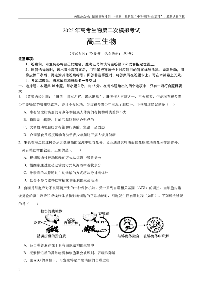 《生物（河南卷）（考试版）_06-生物-高考总复习_二轮复习_2025年_2025年高考生物第二次模拟卷26套_生物（河南卷）》第1页预览