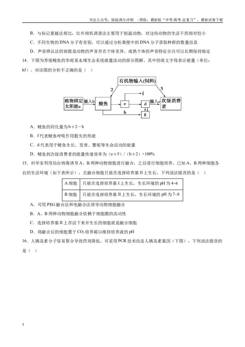 《生物（河南卷）（考试版）_06-生物-高考总复习_二轮复习_2025年_2025年高考生物第二次模拟卷26套_生物（河南卷）》第5页预览