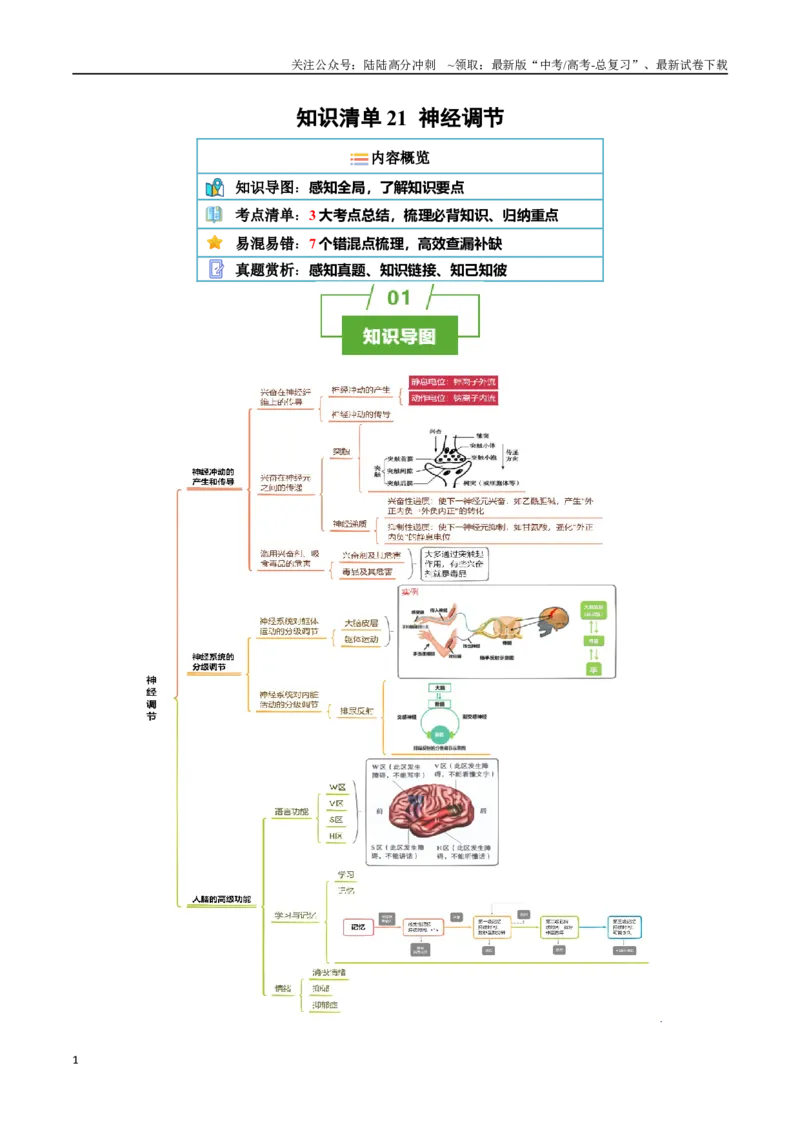 《知识清单21神经调节（3大考点+7个易错点）_06-生物-高考总复习_一轮复习_2025年_2025年高考生物一轮复习知识清单（全国通用）》第1页预览