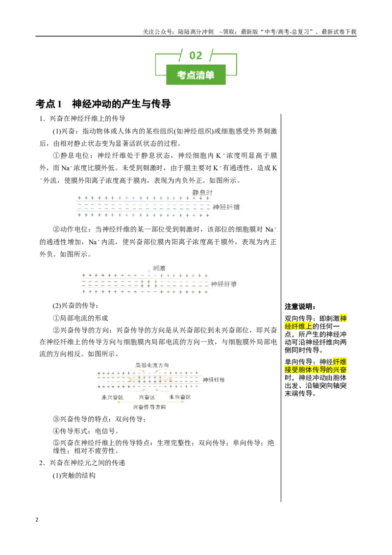 《知识清单21神经调节（3大考点+7个易错点）_06-生物-高考总复习_一轮复习_2025年_2025年高考生物一轮复习知识清单（全国通用）》第2页预览