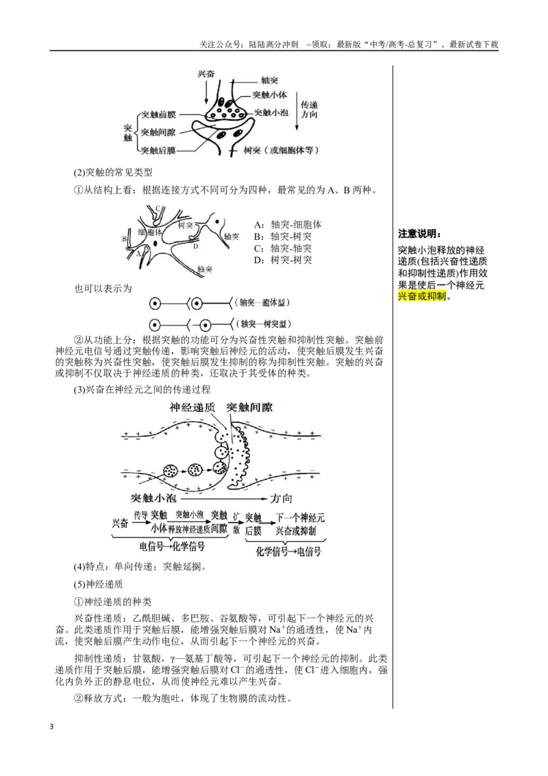 《知识清单21神经调节（3大考点+7个易错点）_06-生物-高考总复习_一轮复习_2025年_2025年高考生物一轮复习知识清单（全国通用）》第3页预览