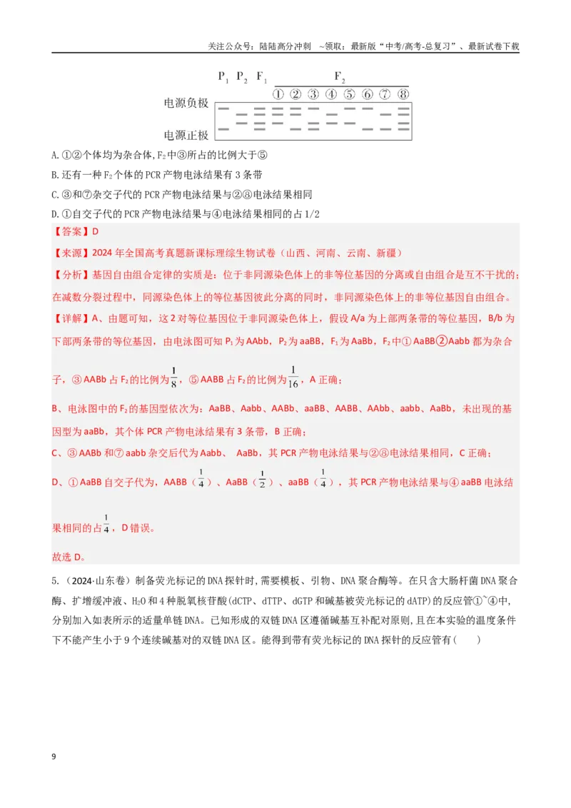 《专题12基因工程（教师版）_06-生物-高考总复习_专项复习_2025年_2025年高考生物重难点讲义专练（西北四省专用）》第9页预览