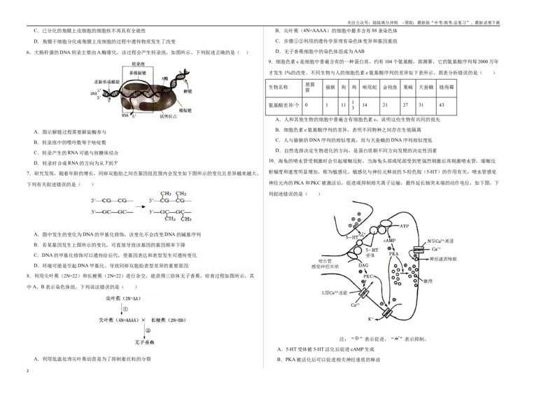 《生物（贵州卷）（考试版A3）_06-生物-高考总复习_专项复习_2025年_2025年高考第一二三次模拟卷（多地区）生物_2025年高考生物第三次模拟考试21套_生物（贵州卷）》第2页预览