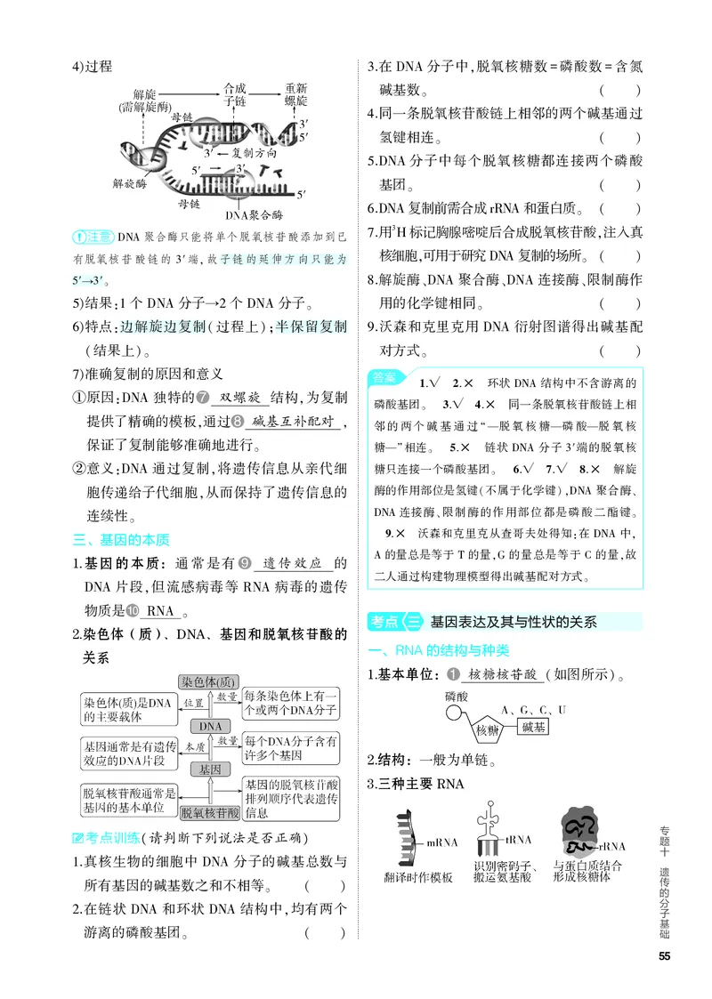 《1_10-专题十　遗传的分子基础（教参电子书—知识讲解）_2024版教学资源包_2024版.新高考版生物.5·3A版_10_专题十遗传的分子基础_4_PDF教参电子书》第4页预览