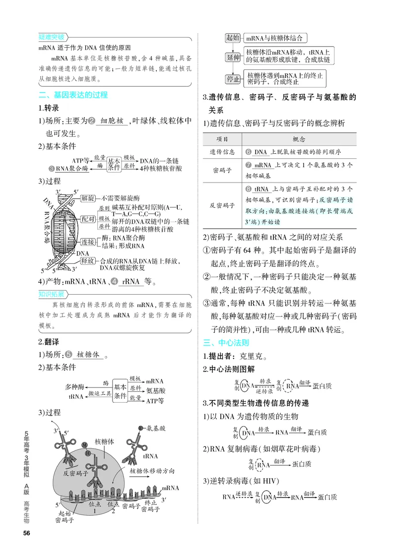 《1_10-专题十　遗传的分子基础（教参电子书—知识讲解）_2024版教学资源包_2024版.新高考版生物.5·3A版_10_专题十遗传的分子基础_4_PDF教参电子书》第5页预览