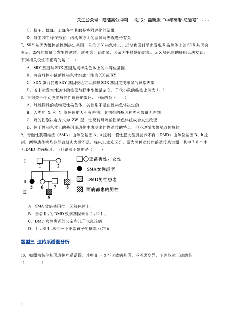 《第17讲伴性遗传和人类遗传病（专项训练）（学生版）_06-生物-高考总复习_一轮复习_2026年-生物高考一轮复习_2026年高考生物一轮课件+讲义+练习（湖南专用）-G331》第3页预览
