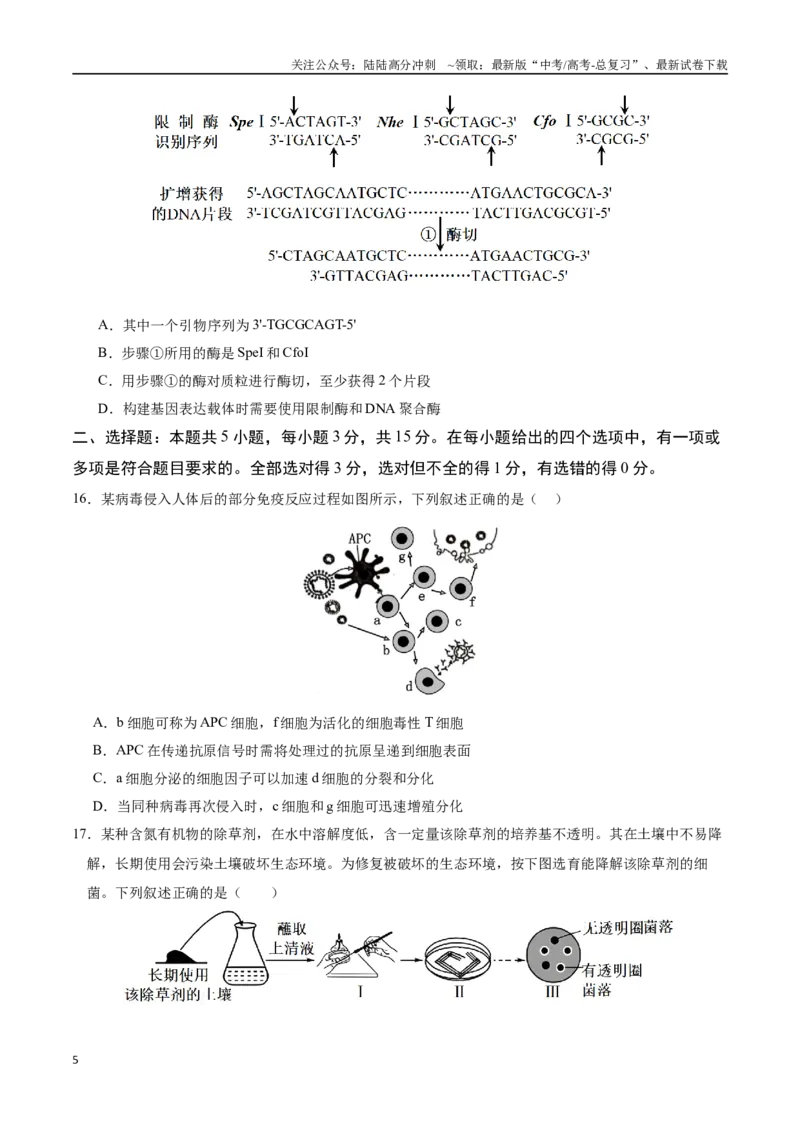 《生物（黑吉辽蒙通用）（考试版）_06-生物-高考总复习_专项复习_2025年_2025年高考第一二三次模拟卷（多地区）生物_2025年高考生物第二次模拟卷26套_生物（黑吉辽蒙通用）》第5页预览