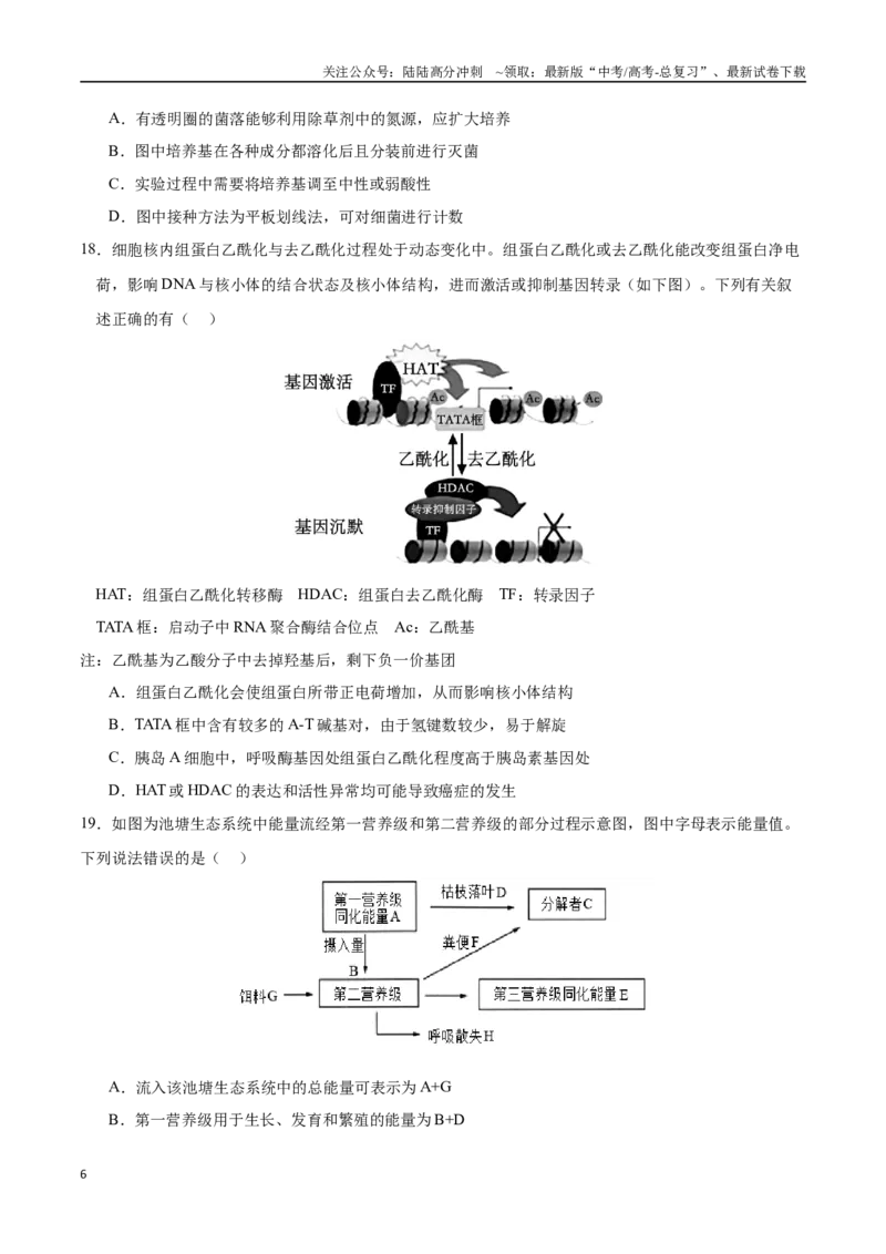 《生物（黑吉辽蒙通用）（考试版）_06-生物-高考总复习_专项复习_2025年_2025年高考第一二三次模拟卷（多地区）生物_2025年高考生物第二次模拟卷26套_生物（黑吉辽蒙通用）》第6页预览