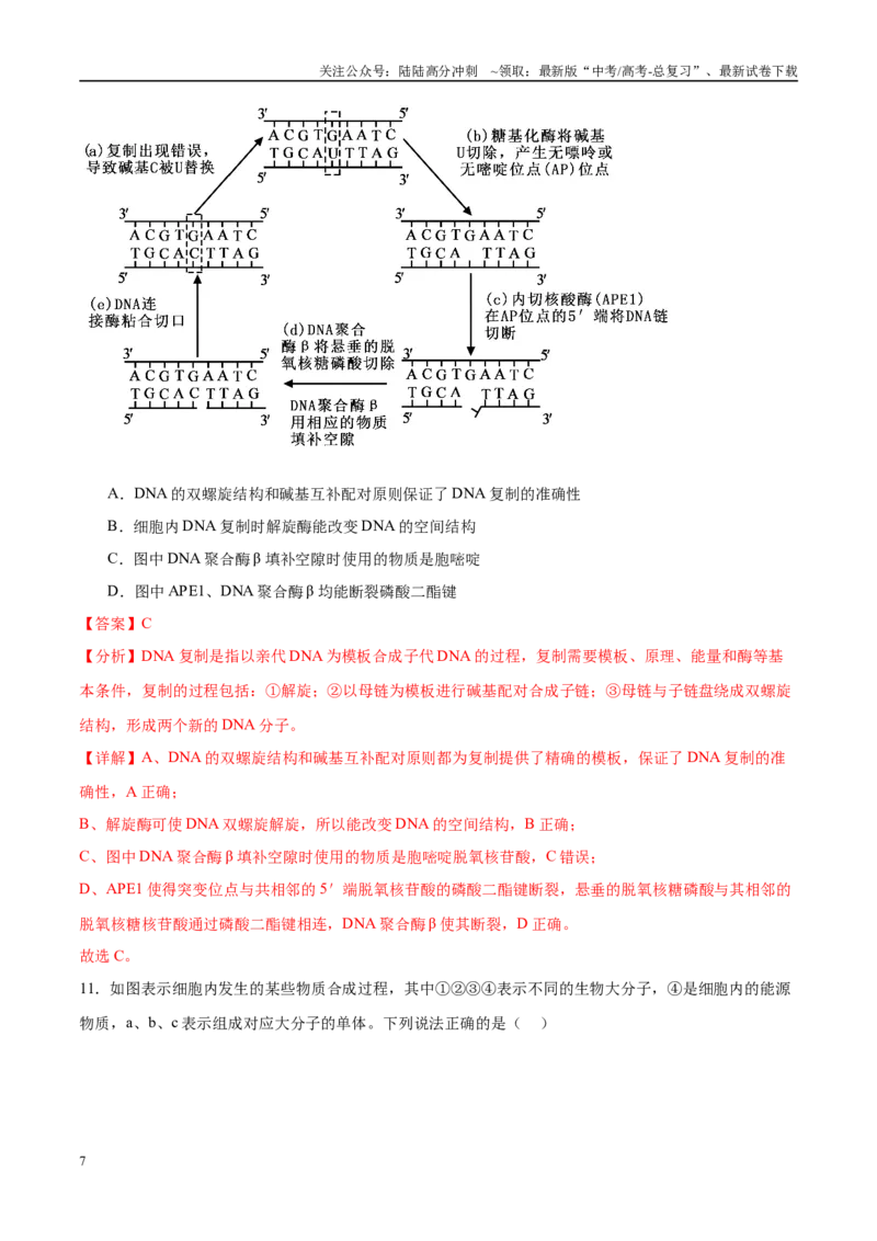 《模拟卷01（云南专用）（解析版）_06-生物-高考总复习_专项复习_2025年_2025年高考生物模拟卷（新高考八省专用）8套》第7页预览