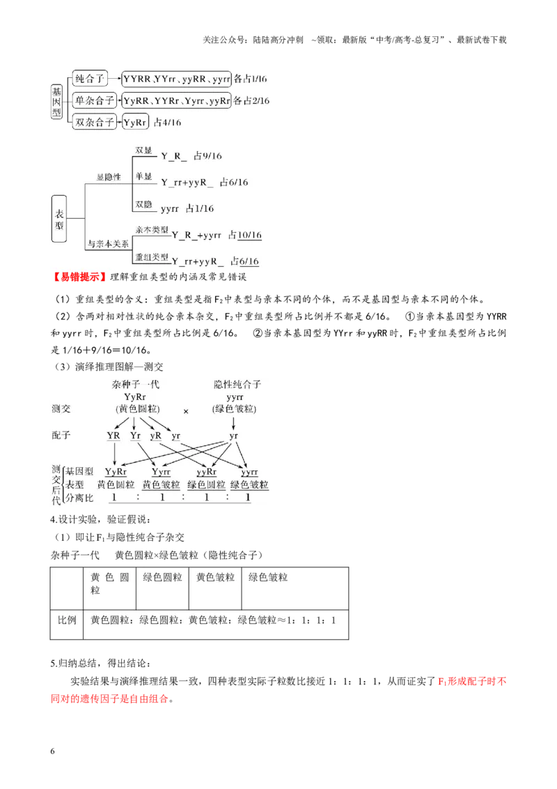 《第16讲自由组合定律（第一课时）（讲义）（教师版）_06-生物-高考总复习_一轮复习_2025年_2025年高考生物一轮复习讲义+练习+课件（新教材新高考）_第五单元基因的传递规律》第6页预览