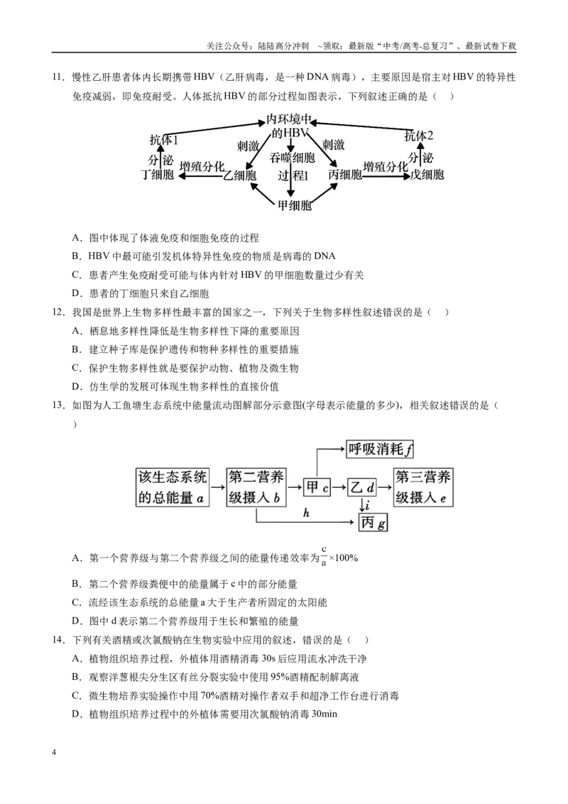 《生物（甘肃卷02）（考试版）_06-生物-高考总复习_专项复习_2025年_2025年高考押题预测卷（多地区）生物》第4页预览