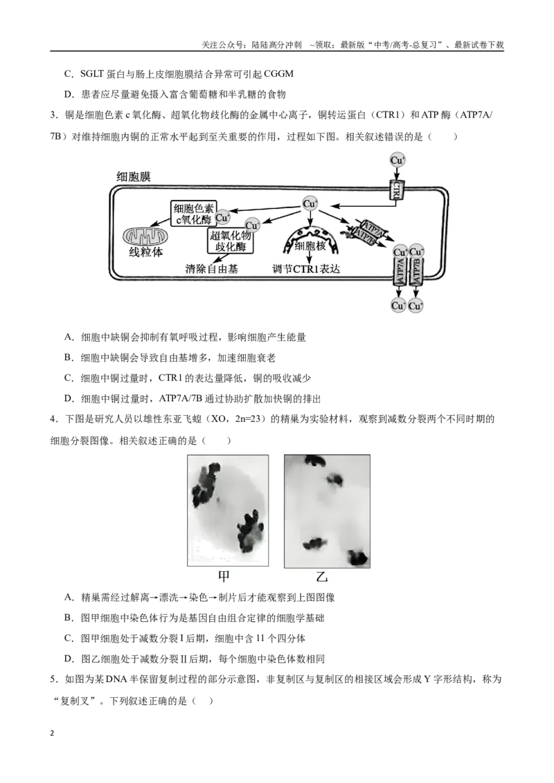 《生物（江苏卷02）（考试版）_06-生物-高考总复习_专项复习_2025年_2025年高考第一二三次模拟卷（多地区）生物_2025年高考生物第三次模拟考试21套_生物（江苏卷02）》第2页预览