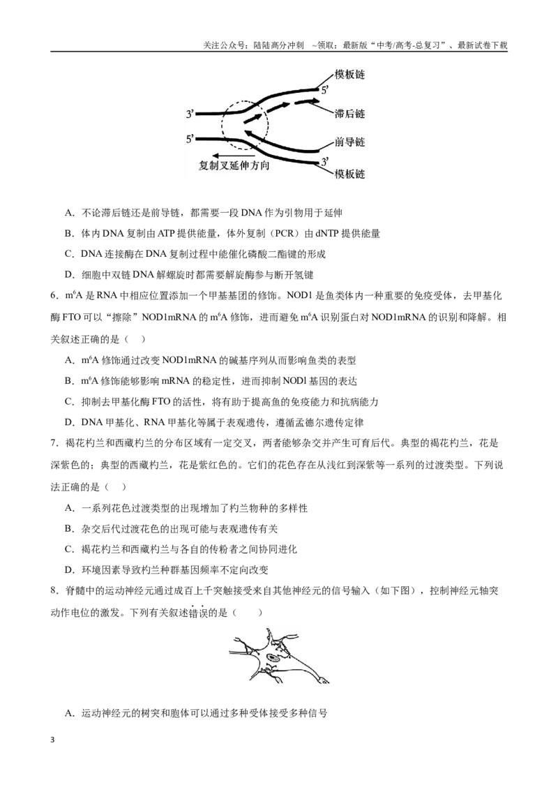 《生物（江苏卷02）（考试版）_06-生物-高考总复习_专项复习_2025年_2025年高考第一二三次模拟卷（多地区）生物_2025年高考生物第三次模拟考试21套_生物（江苏卷02）》第3页预览