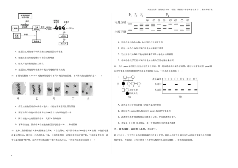 《生物（浙江卷）（考试版A3）_06-生物-高考总复习_专项复习_2025年_2025年高考第一二三次模拟卷（多地区）生物_2025年高考生物第一次模拟卷24套》第4页预览