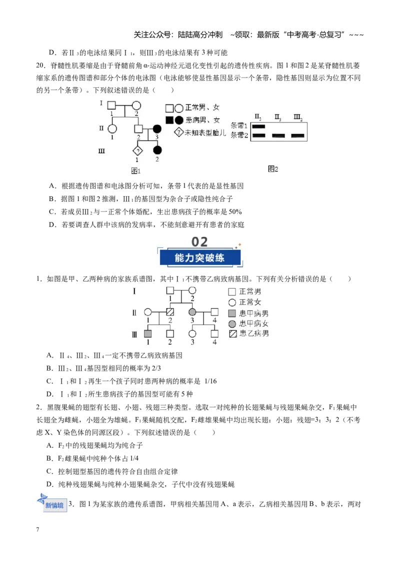 《第17讲伴性遗传和人类遗传病（专项训练）（四川专用）（学生版）_06-生物-高考总复习_一轮复习_2026年-生物高考一轮复习_2026年高考生物一轮课件+讲义+练习（四川专用）-G335》第7页预览