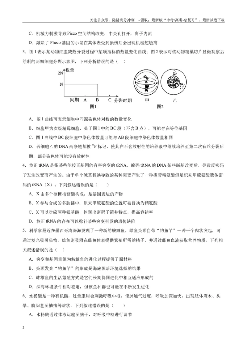 《生物（广西卷）（考试版）_06-生物-高考总复习_专项复习_2024年_2024高考生物1月九省联考猜想卷真题汇编完全解读_2024年1月“九省联考”生物考前猜想卷》第2页预览