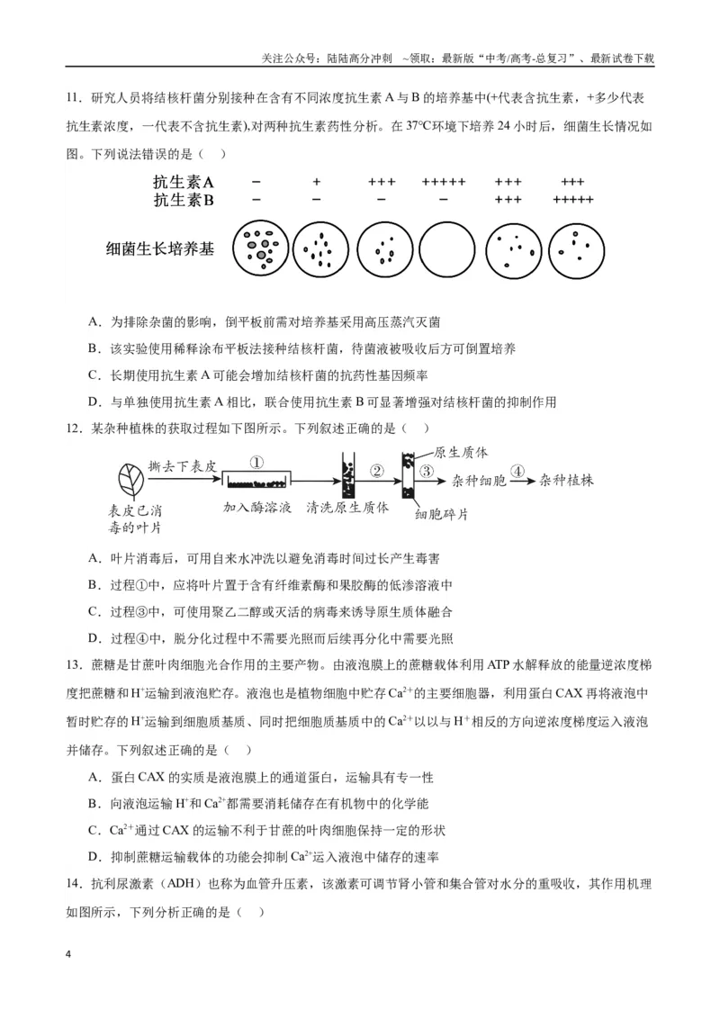 《生物（广西卷）（考试版）_06-生物-高考总复习_专项复习_2024年_2024高考生物1月九省联考猜想卷真题汇编完全解读_2024年1月“九省联考”生物考前猜想卷》第4页预览