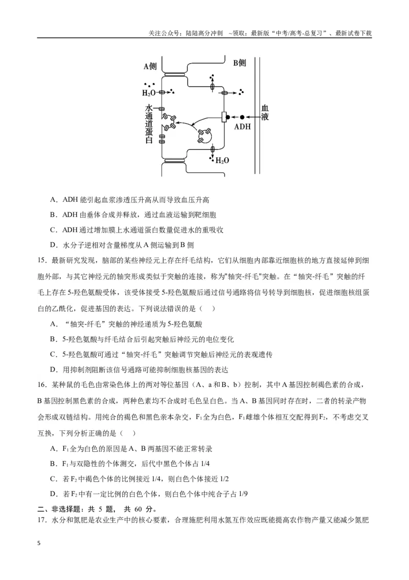 《生物（广西卷）（考试版）_06-生物-高考总复习_专项复习_2024年_2024高考生物1月九省联考猜想卷真题汇编完全解读_2024年1月“九省联考”生物考前猜想卷》第5页预览