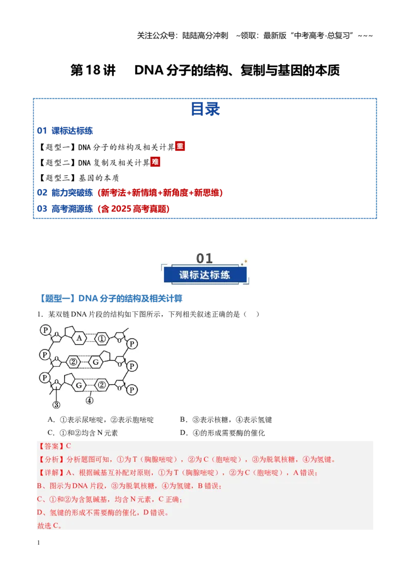 《第18讲DNA分子的结构、复制与基因的本质（专项训练）（黑吉辽蒙专用）（教师版）_06-生物-高考总复习_一轮复习_2026年-生物高考一轮复习》第1页预览