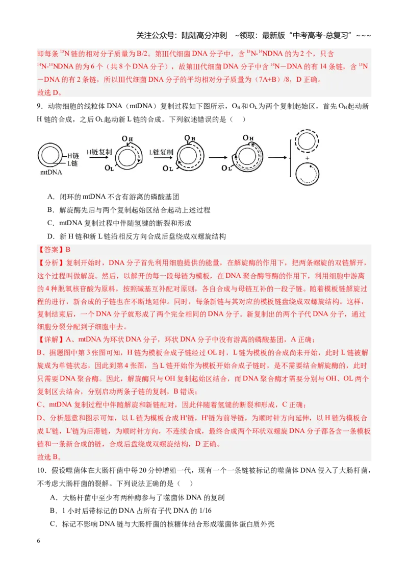 《第18讲DNA分子的结构、复制与基因的本质（专项训练）（黑吉辽蒙专用）（教师版）_06-生物-高考总复习_一轮复习_2026年-生物高考一轮复习》第6页预览
