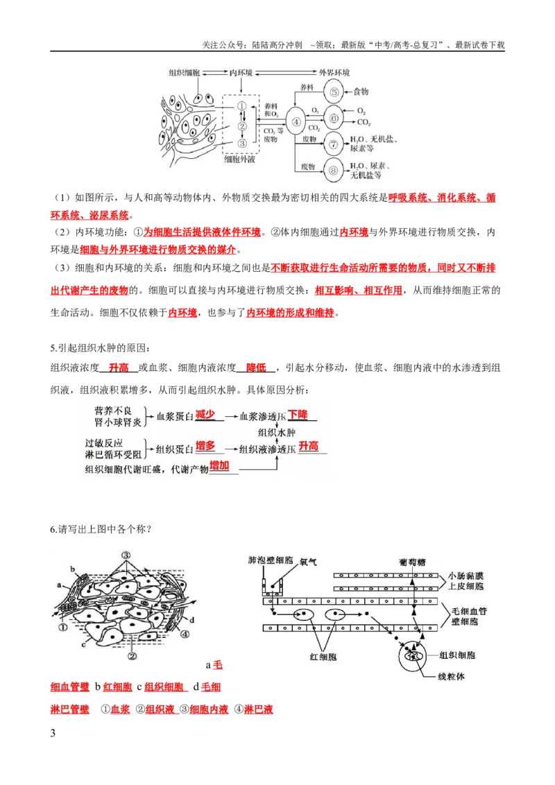 《第1章人体的内环境与稳态（答案版）_06-生物-高考总复习_专项复习_2024年_2024年高考生物必背知识清单（人教版2019）_资料_选择性必修1》第3页预览