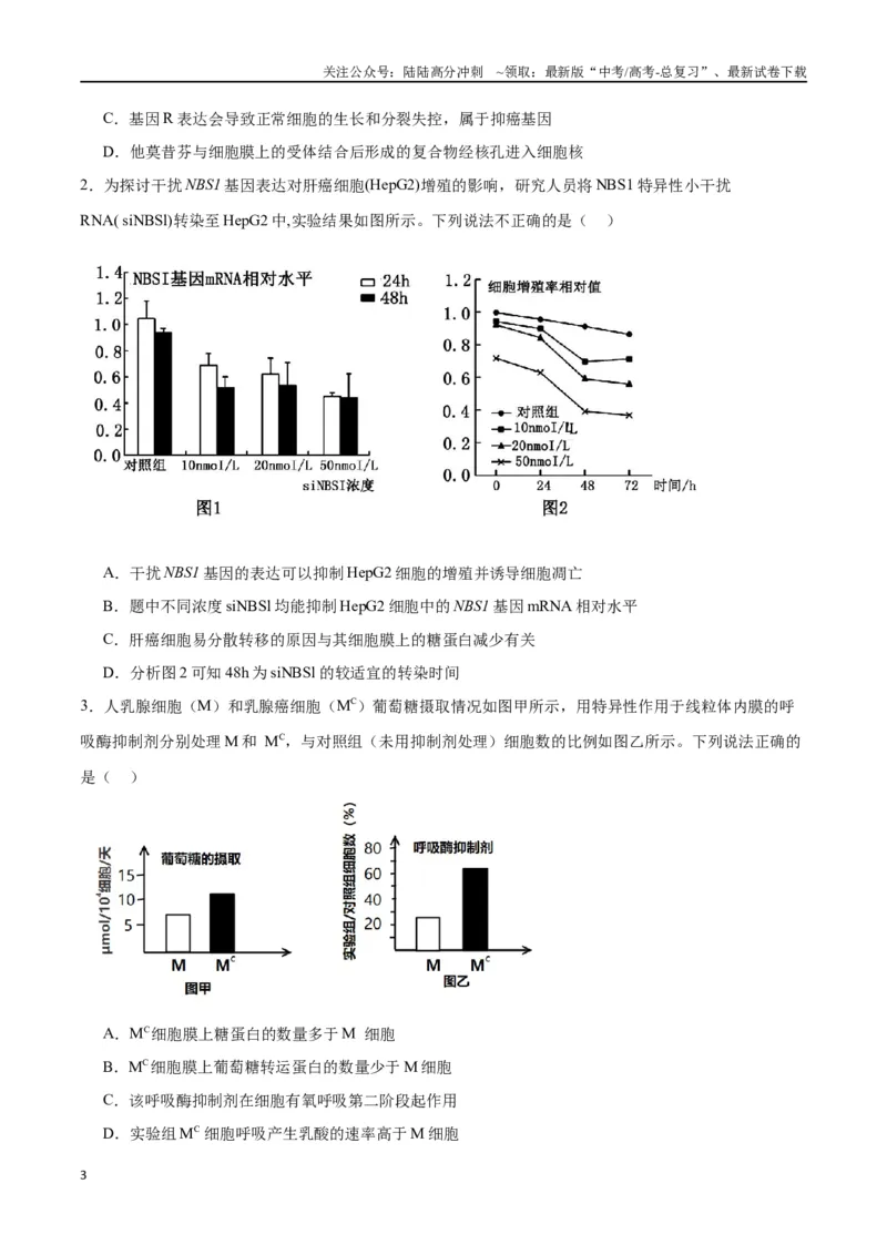 《专题14细胞分化、衰老、凋亡和癌变（原卷版)_06-生物-高考总复习_一轮复习_2024年_2024年高考生物一轮复习重难点专项突破_资料》第3页预览