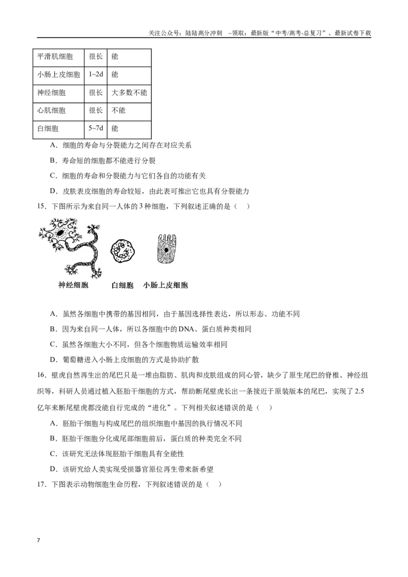 《专题14细胞分化、衰老、凋亡和癌变（原卷版)_06-生物-高考总复习_一轮复习_2024年_2024年高考生物一轮复习重难点专项突破_资料》第7页预览