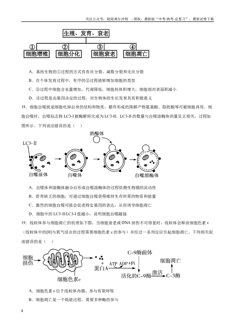 《专题14细胞分化、衰老、凋亡和癌变（原卷版)_06-生物-高考总复习_一轮复习_2024年_2024年高考生物一轮复习重难点专项突破_资料》第8页预览