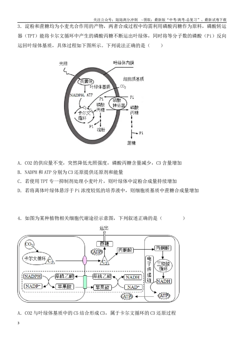 《尖子生突破03C3、C4、景天科植物在光合作用上的区别（原卷版）_06-生物-高考总复习_专项复习_2024年_2024年高考生物重难点突破精讲_资料》第3页预览