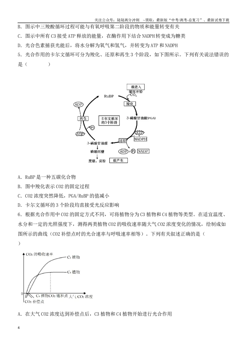 《尖子生突破03C3、C4、景天科植物在光合作用上的区别（原卷版）_06-生物-高考总复习_专项复习_2024年_2024年高考生物重难点突破精讲_资料》第4页预览