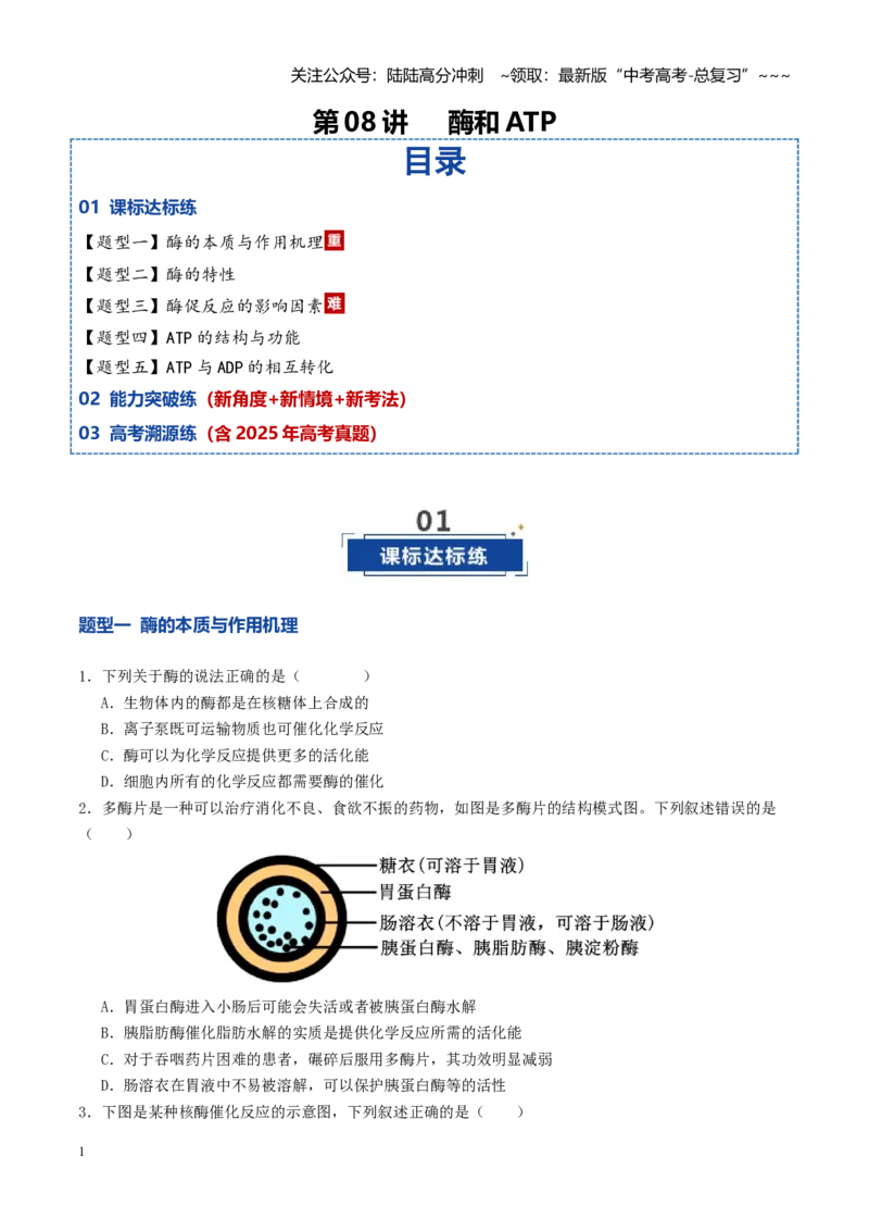 《第08讲酶和ATP（专项训练）（学生版）_06-生物-高考总复习_一轮复习_2026年-生物高考一轮复习_2026年高考生物一轮复习讲义+练习+课件（新教材新高考）-G55_2026版》第1页预览