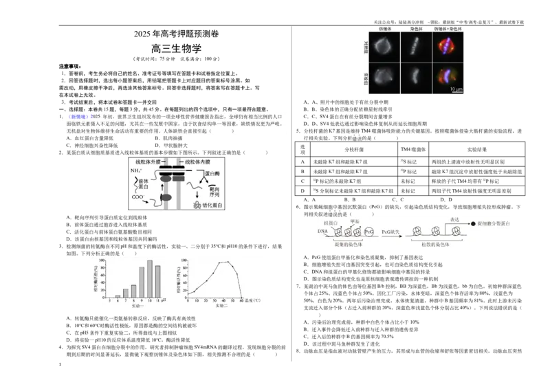 《生物（重庆卷01）（考试版A3）_06-生物-高考总复习_专项复习_2025年_2025年高考押题预测卷（多地区）生物》第1页预览