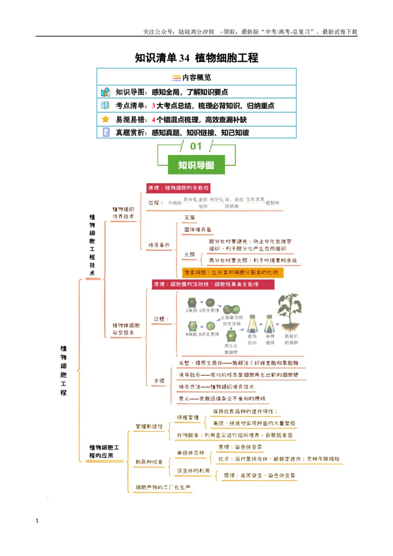 《知识清单34植物细胞工程（3大考点+4个易错点）_06-生物-高考总复习_一轮复习_2025年_2025年高考生物一轮复习知识清单（全国通用）》第1页预览
