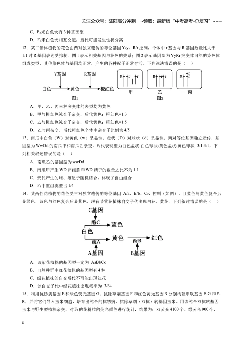 《第17讲自由组合定律（专项训练）（安徽专用）（学生版）_06-生物-高考总复习_一轮复习_2026年-生物高考一轮复习_2026年高考生物一轮课件+讲义+练习（安徽专用）-G326》第8页预览