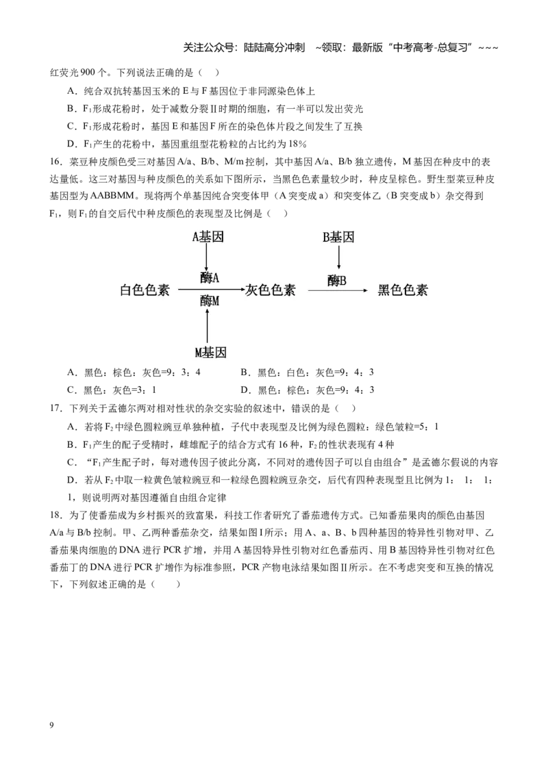 《第17讲自由组合定律（专项训练）（安徽专用）（学生版）_06-生物-高考总复习_一轮复习_2026年-生物高考一轮复习_2026年高考生物一轮课件+讲义+练习（安徽专用）-G326》第9页预览