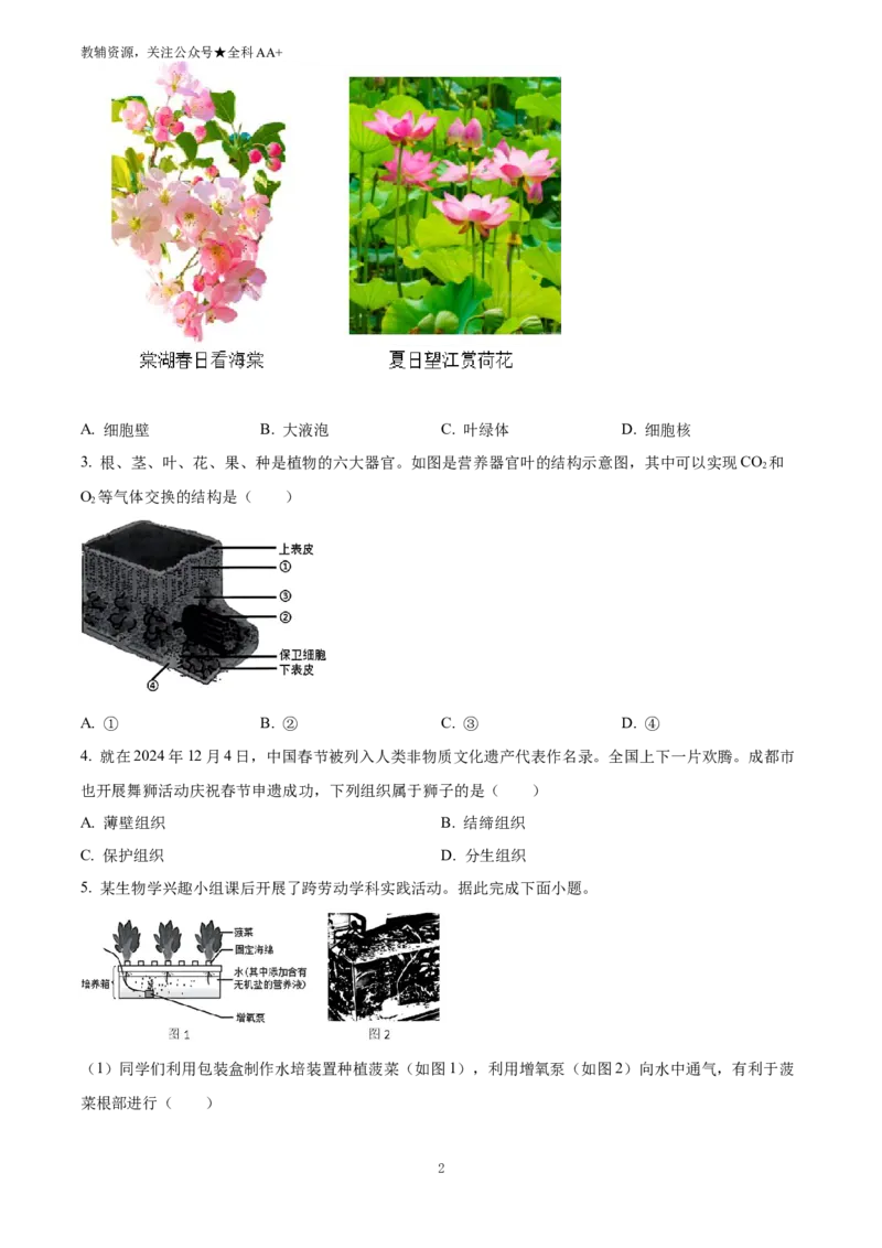 《2025四川省成都市中考生物真题(原卷版)_历年中考真题2013-2025_初中生物历年中考真题（2015-2025）_2025年全国中考真题_2025四川省成都市中考模拟生物真题》第2页预览