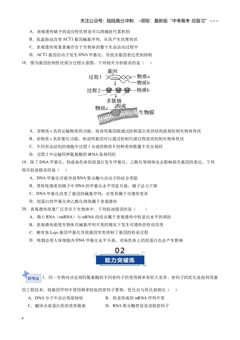 《第21讲基因的表达、基因与性状的关系（专项训练）（四川专用）（学生版）_06-生物-高考总复习_一轮复习_2026年-生物高考一轮复习_2026年高考生物一轮课件+讲义+练习（四川专用）-G335》第6页预览