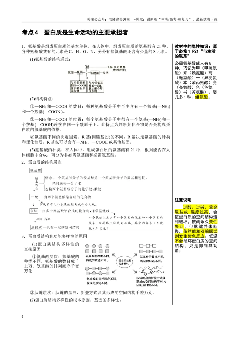 《知识清单02组成细胞的分子（6大考点+10个易错点）_06-生物-高考总复习_一轮复习_2025年_2025年高考生物一轮复习知识清单（全国通用）》第6页预览