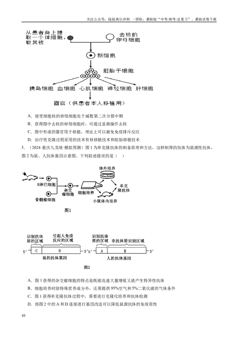 《第15天细胞工程和胚胎工程（原卷版）_06-生物-高考总复习_专项复习_2024年_2024年高考生物考前15天夺分必备_资料》第10页预览