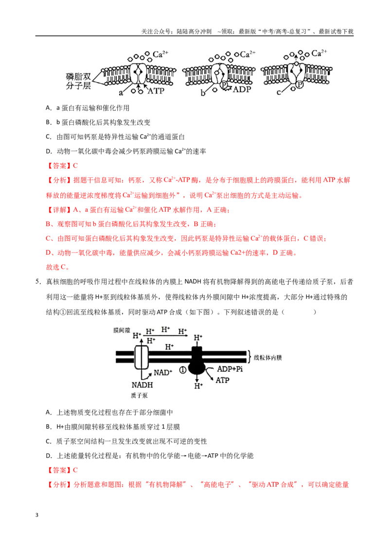 《生物（甘肃卷）（全解全析）_06-生物-高考总复习_专项复习_2025年_2025年高考第一二三次模拟卷（多地区）生物_2025年高考生物第一次模拟卷24套》第3页预览