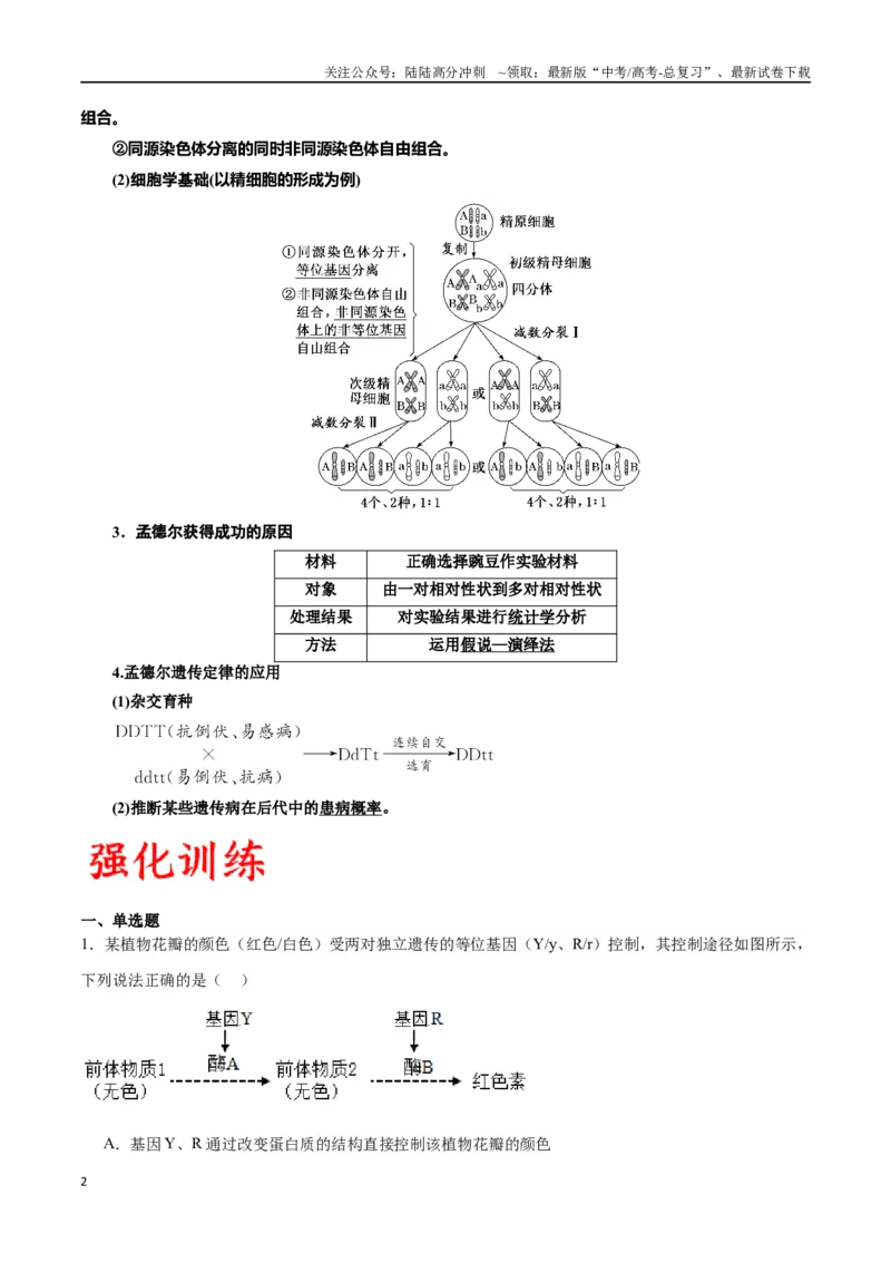 《专题17自由组合（原卷版)_06-生物-高考总复习_一轮复习_2024年_2024年高考生物一轮复习重难点专项突破_资料》第2页预览